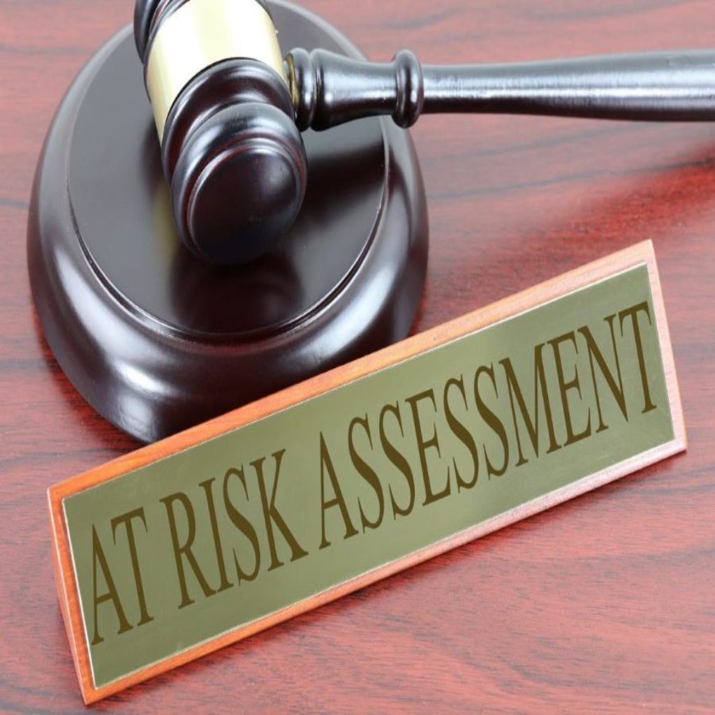 Hacia un ¿Better Risk Assessment?